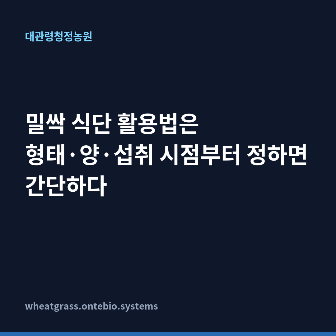 밀싹 식단 활용법은 형태·양·섭취 시점부터 정하면 간단하다 카드뉴스 1장