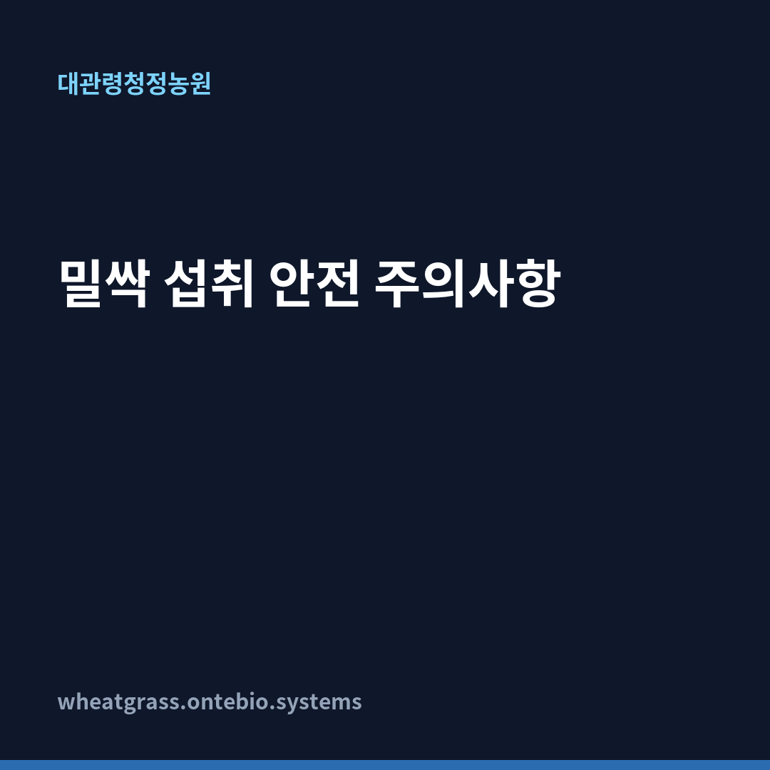 밀싹 섭취 안전 주의사항 카드뉴스 1장